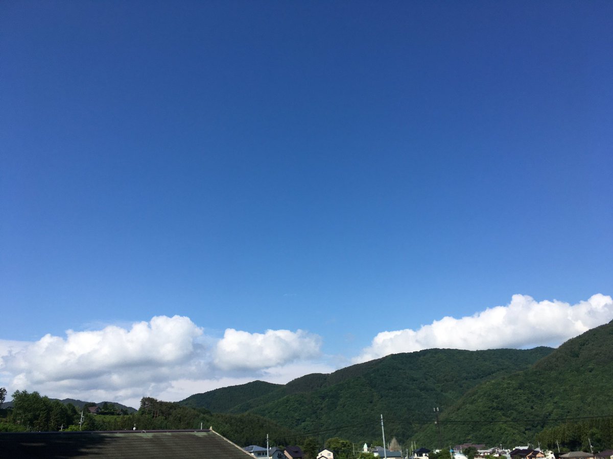 雪ねこ Katashina Life Twitter