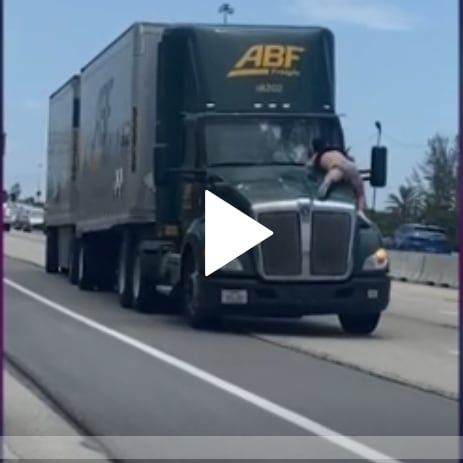 This week's installment of #TruckerTuesday we salute all the badass truckers across the country, but especially those down in Florida and the craziness they face everyday. 
Keep on Truckin' and be sure to make yours an OMUG. 

cc.com/video/03rf1x/t…