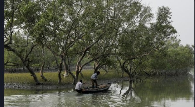 DrRahulRajpoot2's tweet photo. A proposed diamond mining project in #india could lead to the felling of over
#200000 trees .!!
#buxwahaforest #saveBuxwahaforest #westandwithbuxwaha #indiangreentree #savenature #savetreesavefuture #bundelkhand #jhansi #mp #up #dimondnahitreechahiye https://t.co/B5PZ2Gq7sc