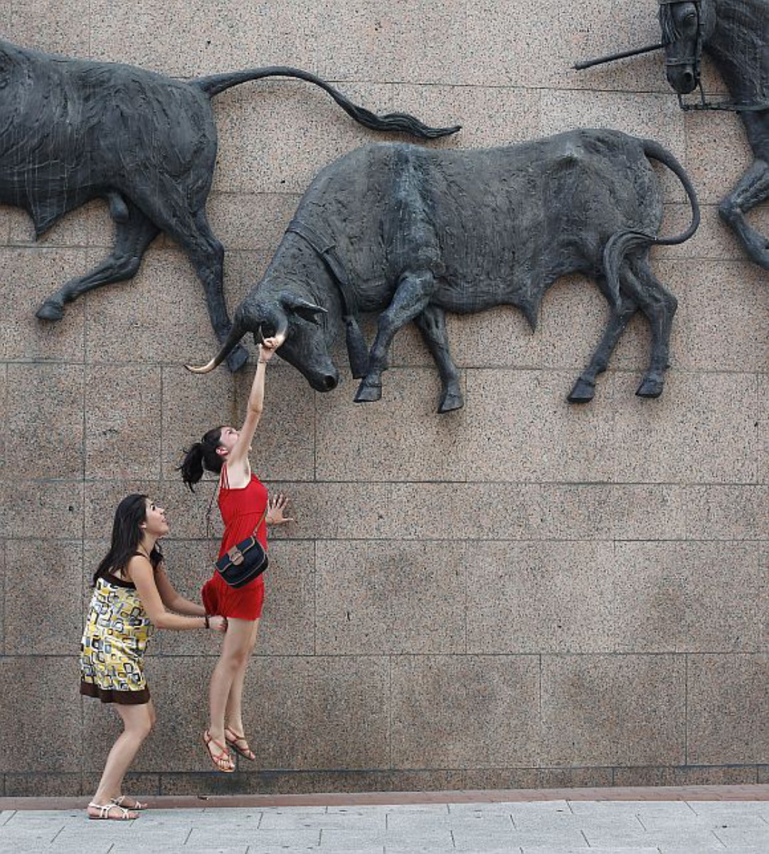 To take the bull by the horns.' 