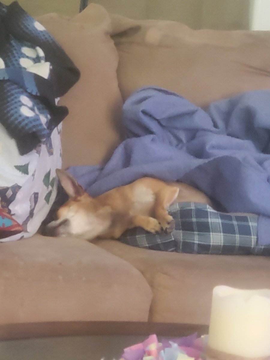 zerokool50's tweet image. 