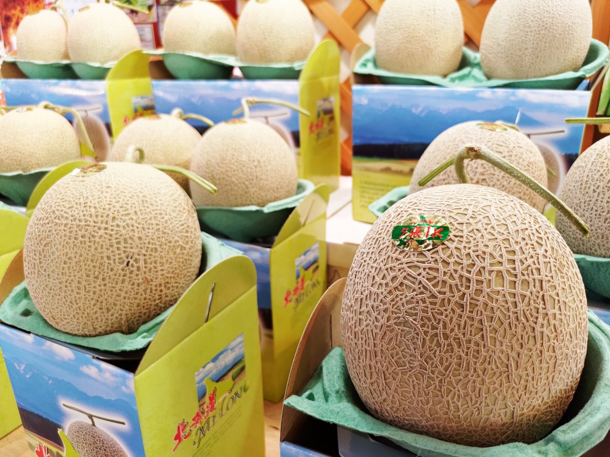 稚内副港市場 本日よりメロンの販売開始 夕張i Kメロンと北海道アサヒメロン どちらも糖度が16度以上ある甘いメロンです 主担当が自信を持ってオススメできるメロンとのこと 1玉4千円前後で販売とのこと 稚内 稚内副港市場 魚常明田鮮魚店