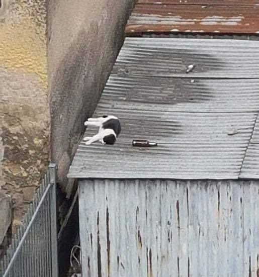 somethinglovely's tweet image. whats the point of doing anything, nothing matters