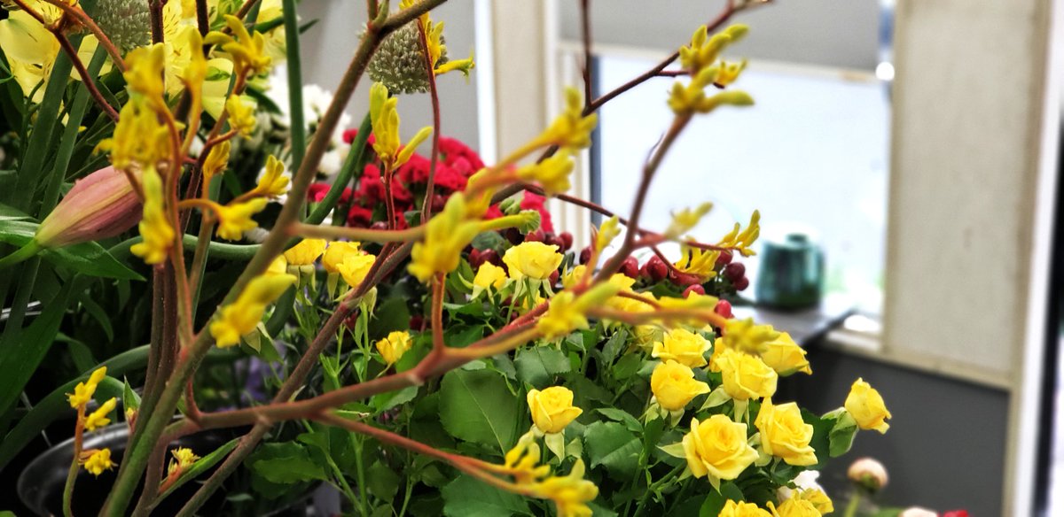 坂下園 フラワーショップ Sakashitaflower Twitter 坂下園 フラワーショップ Sakashitaflower Twitter