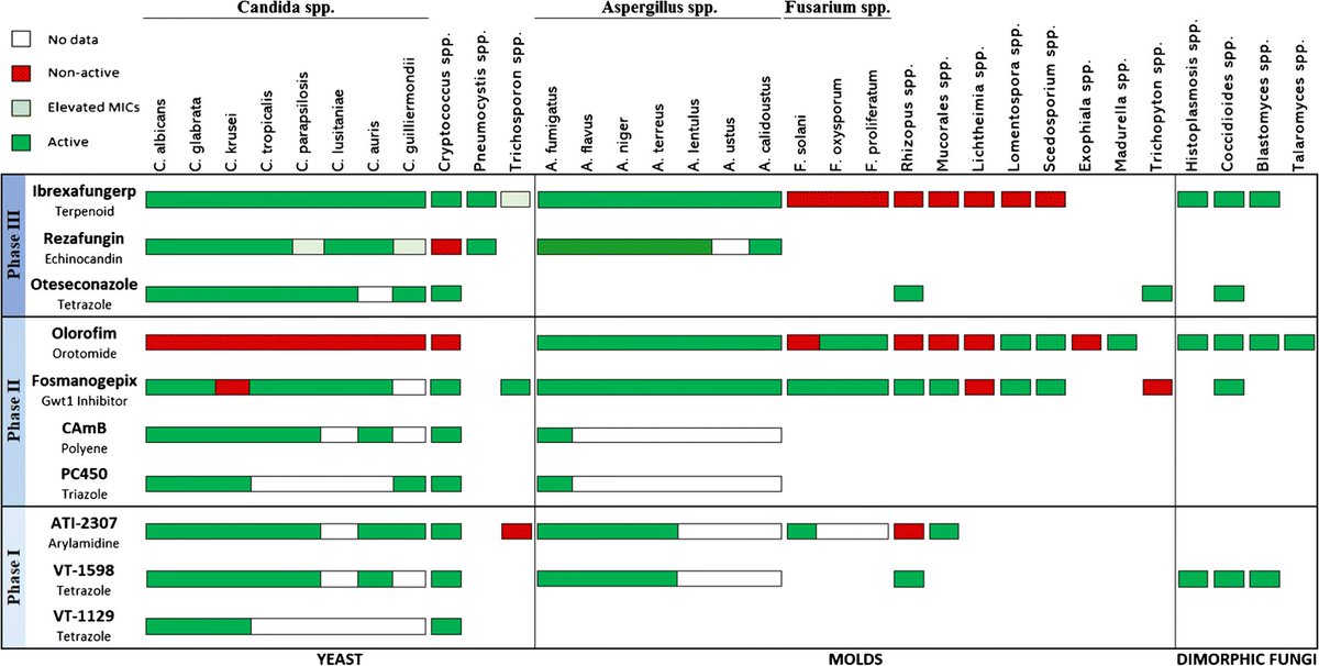 MSG_ERC's tweet image. Investigational Agents for the Treatment of Resistant Yeasts and Molds 

State of the art review of the #antifungal pipeline

link.springer.com/article/10.100…