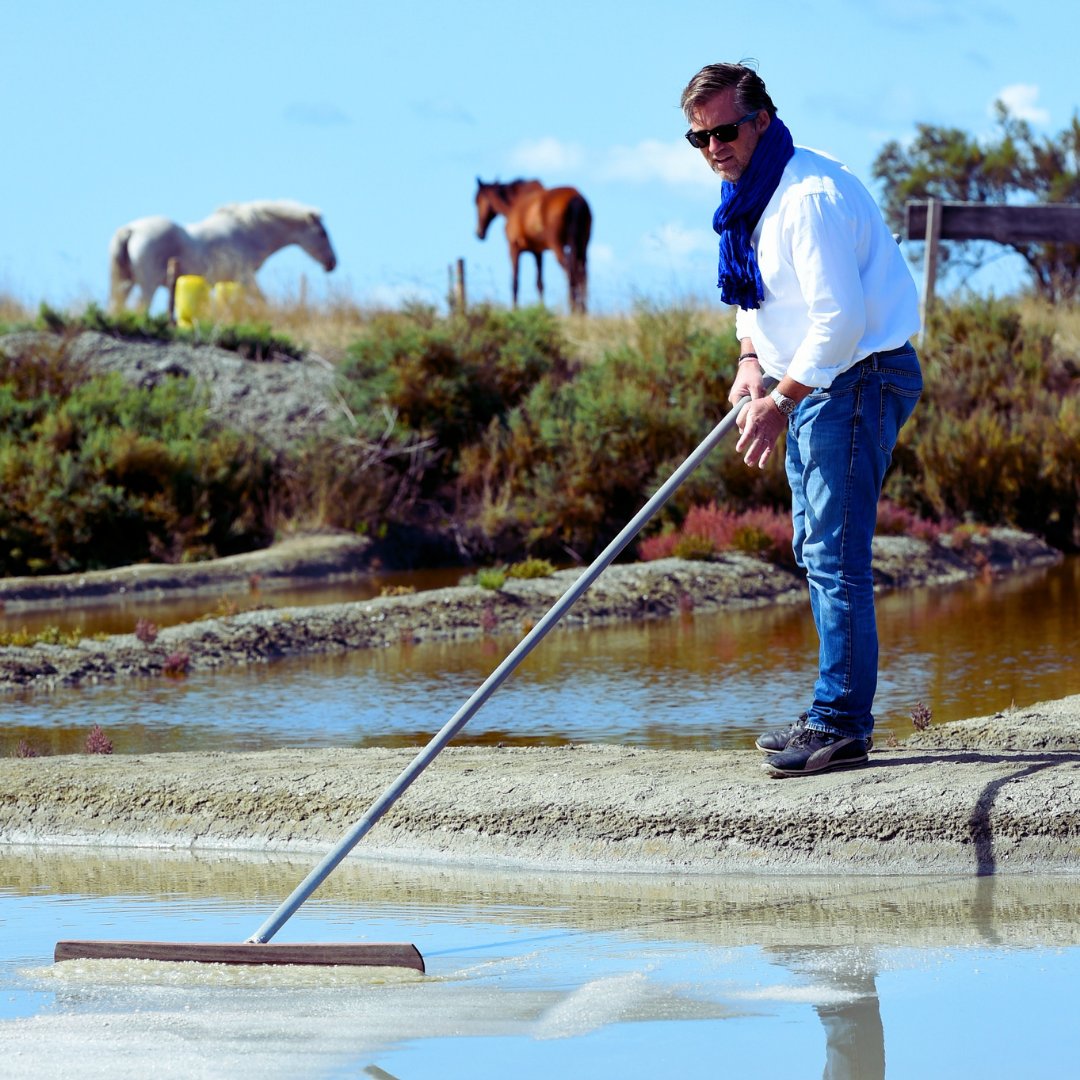 Natierra tweet media