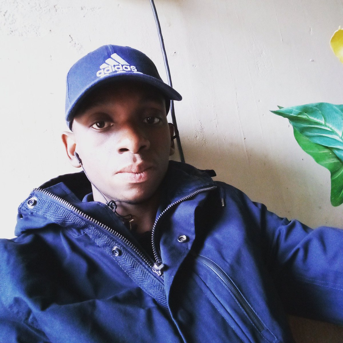 wander_its tweet picture
