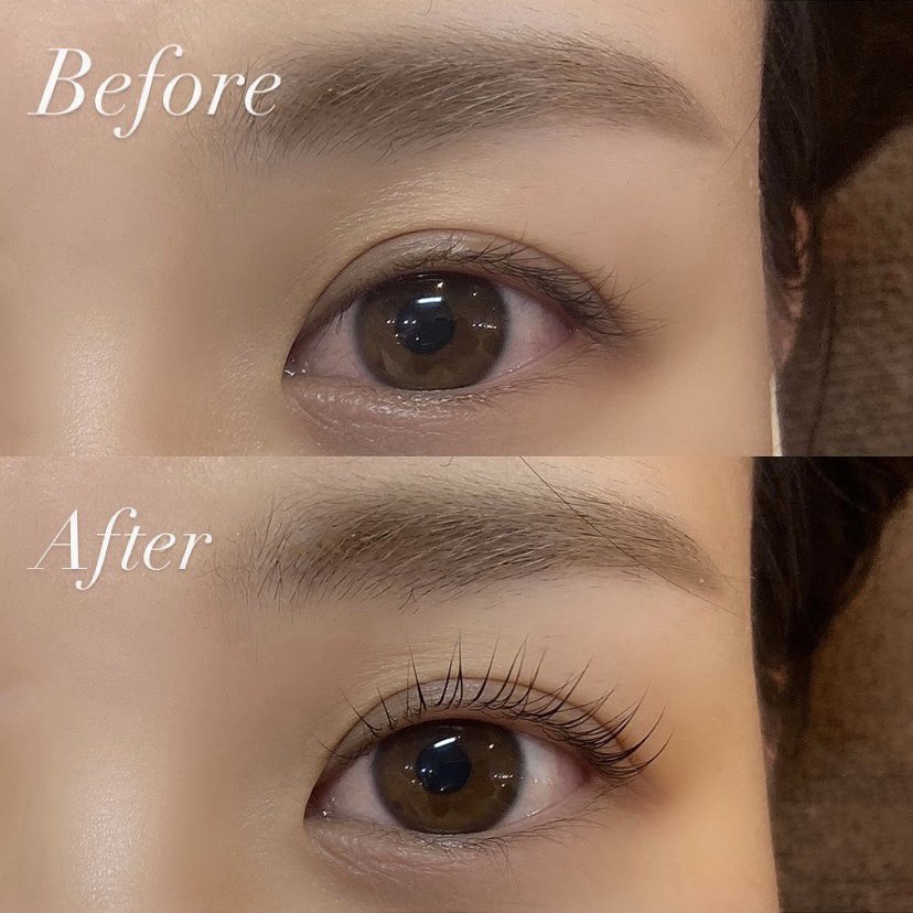 練習モデル Lang Ja Twitter Search