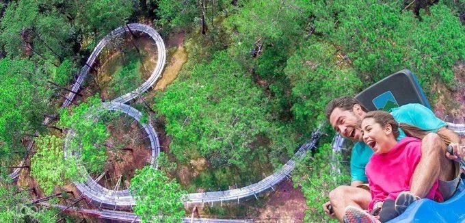 phungjerry21's tweet photo. If you are looking for a beautiful waterfall located right in the city, then go to Datanla waterfall, which has the longest forest slide system in Southeast Asia and other exciting games.  Datanla waterfall is located in the middle of Prenn pass, with a height of more than 20m https://t.co/DlfWy9PRnE