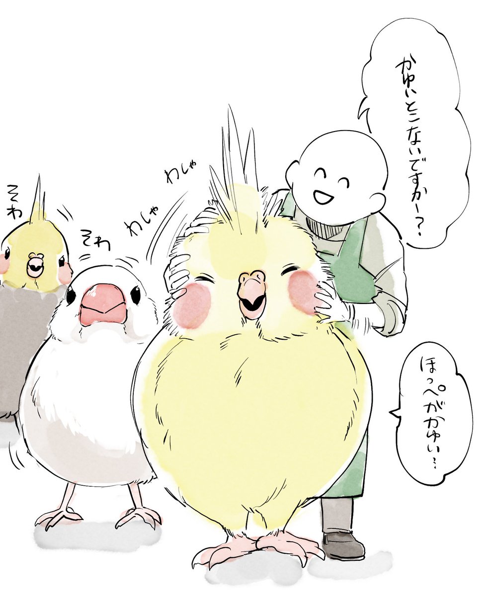 鳥のカキカキ屋になりたい… 