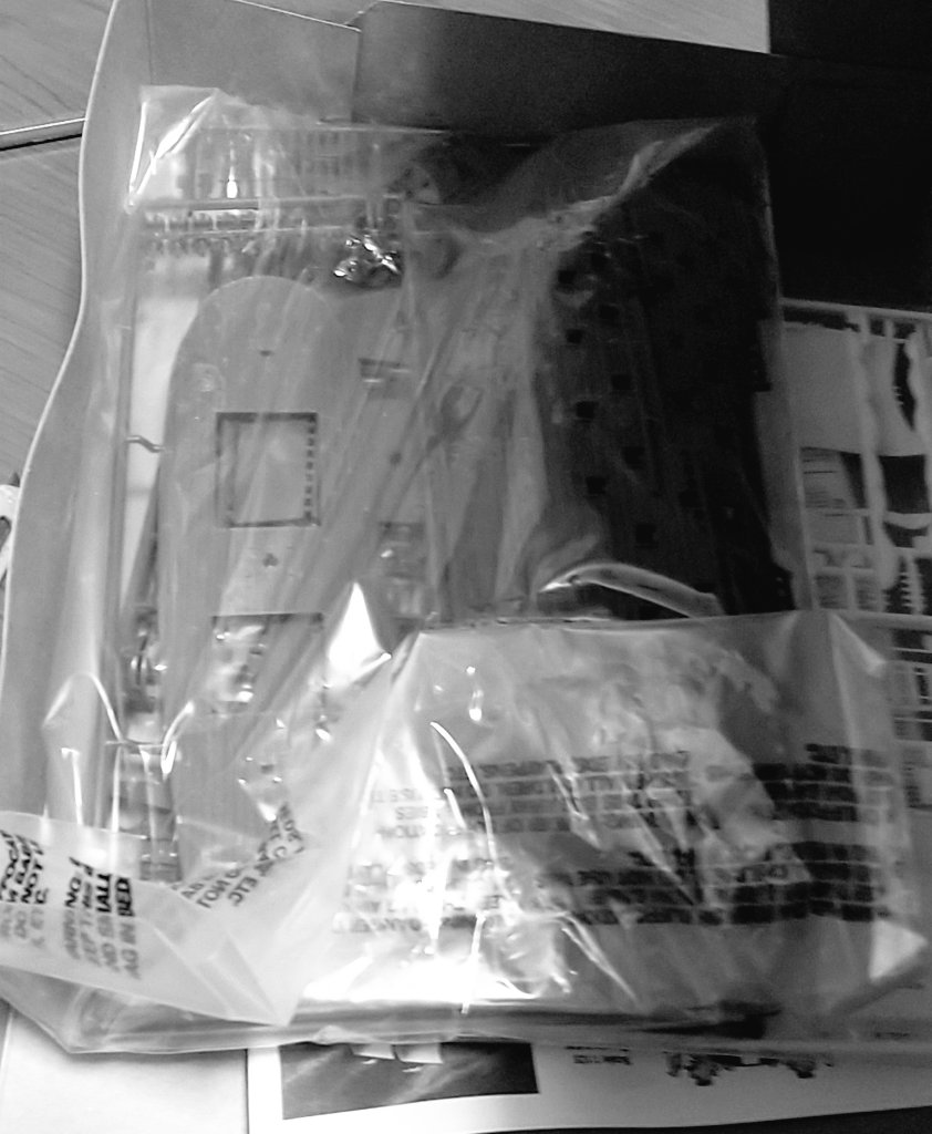 資料用に帆船プラモ欲しくて、Amazonで探してたら5000円のが1000円だったので注文したら想像の倍でかかった。頑張って作ろ
𓂃𓂃𓊝𓄹𓄺𓂃𓂃       𓆟         𓇼   𓆞 