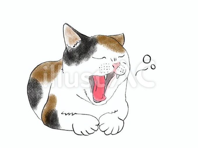 猫のあくびのtwitterイラスト検索結果
