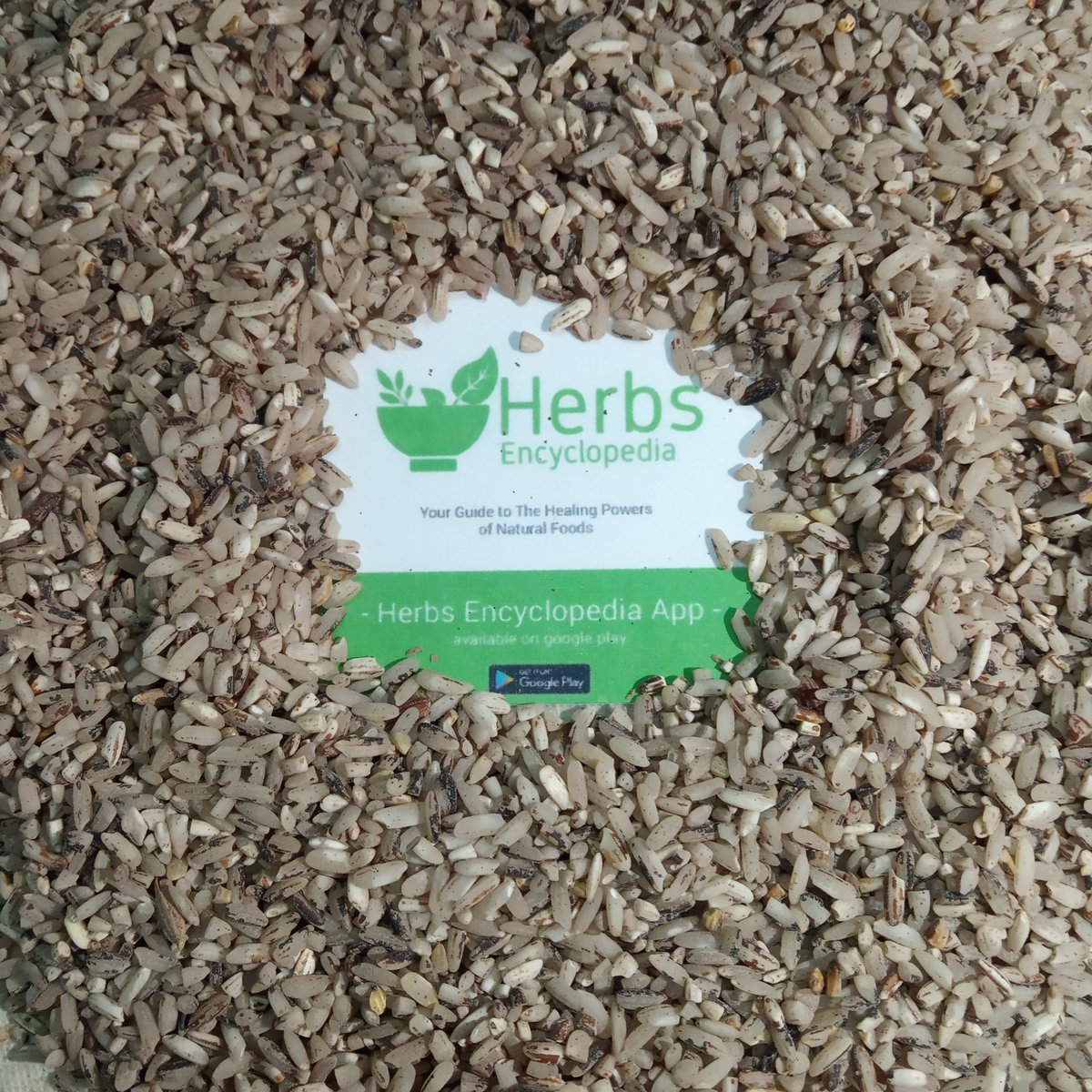 HerbsEncyclope's tweet photo. Red rice  is a variety of rice that is colored red by its anthocyanin content. It is usually eaten unhulled or partially hulled, and has a red husk, rather than the more common brown.

#health #health_benefit #healthbenefit #yum #yummy #plantbased #Malaysia #herbalist #herb https://t.co/xwL89D5uJn