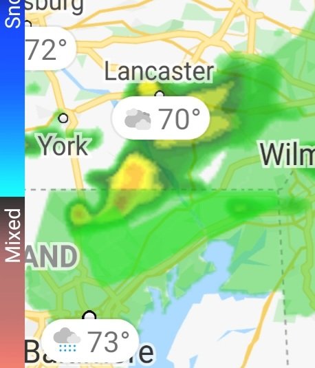 ginacanti's tweet photo. Is it weird finding a whale #shark cruising in your doppler?? Asking for a friend.
 ❤🦈  @WhaleSharkRocky https://t.co/kLdNy2UtKy