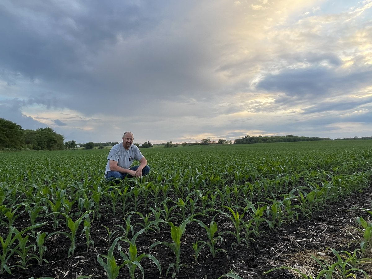 JDCodyK's tweet image. Love looking at the crops after a two day soaking rain #ohwx @ChannelOhio @ChannelSeed @channelcss