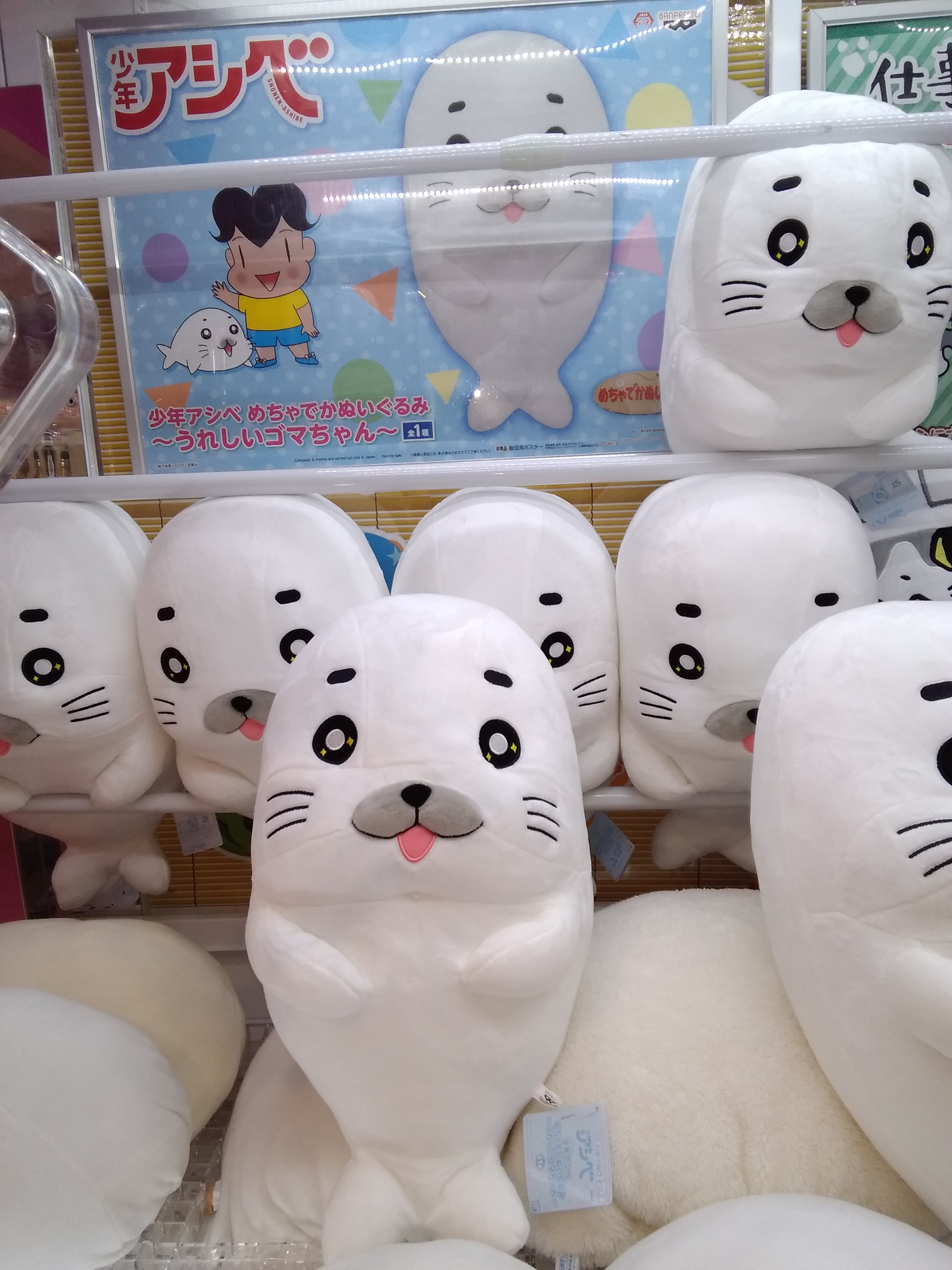 AZONE INTERNATIONAL::えっくす☆きゅーと