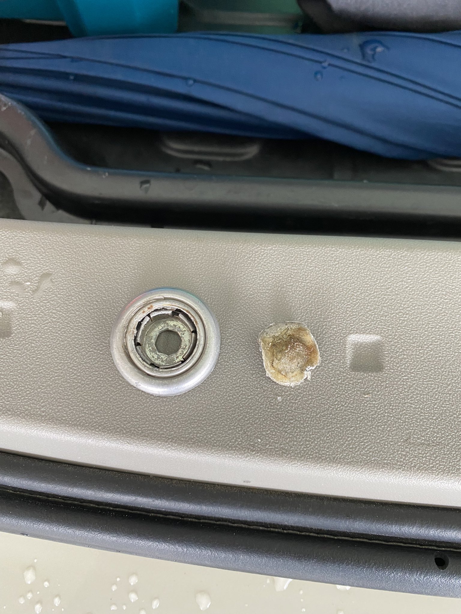 See Kraus 0630 S Tweet Twitter