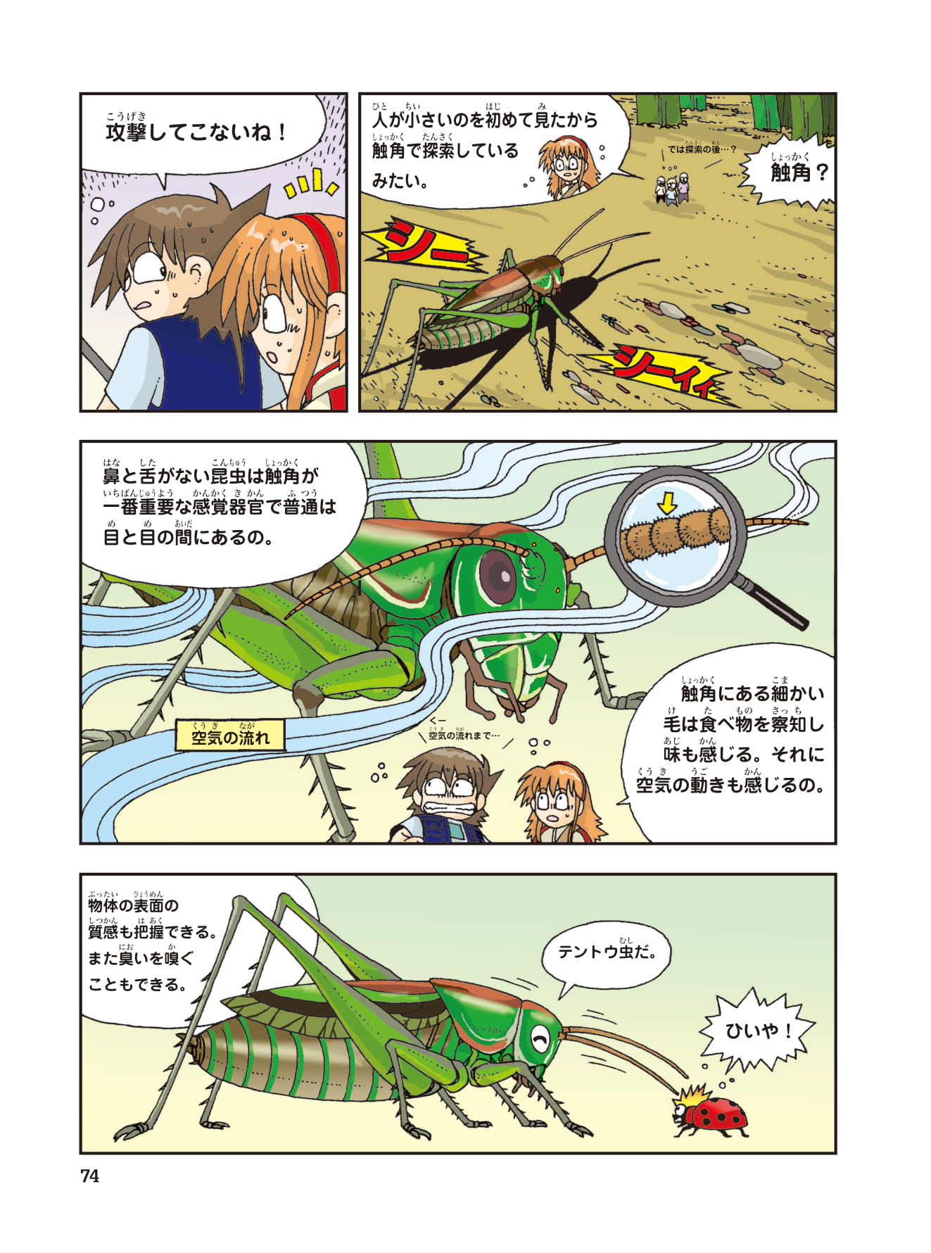 科学漫画サバイバル 公式 今日は 虫の日 今まで知られている昆虫の種類は100万種類以上 地球の生物の４分の３を占めているよ しかもまだ発見されていない昆虫も数多くあって 地球上に住むすべての昆虫の数は1000京に及ぶと推定されているんだ