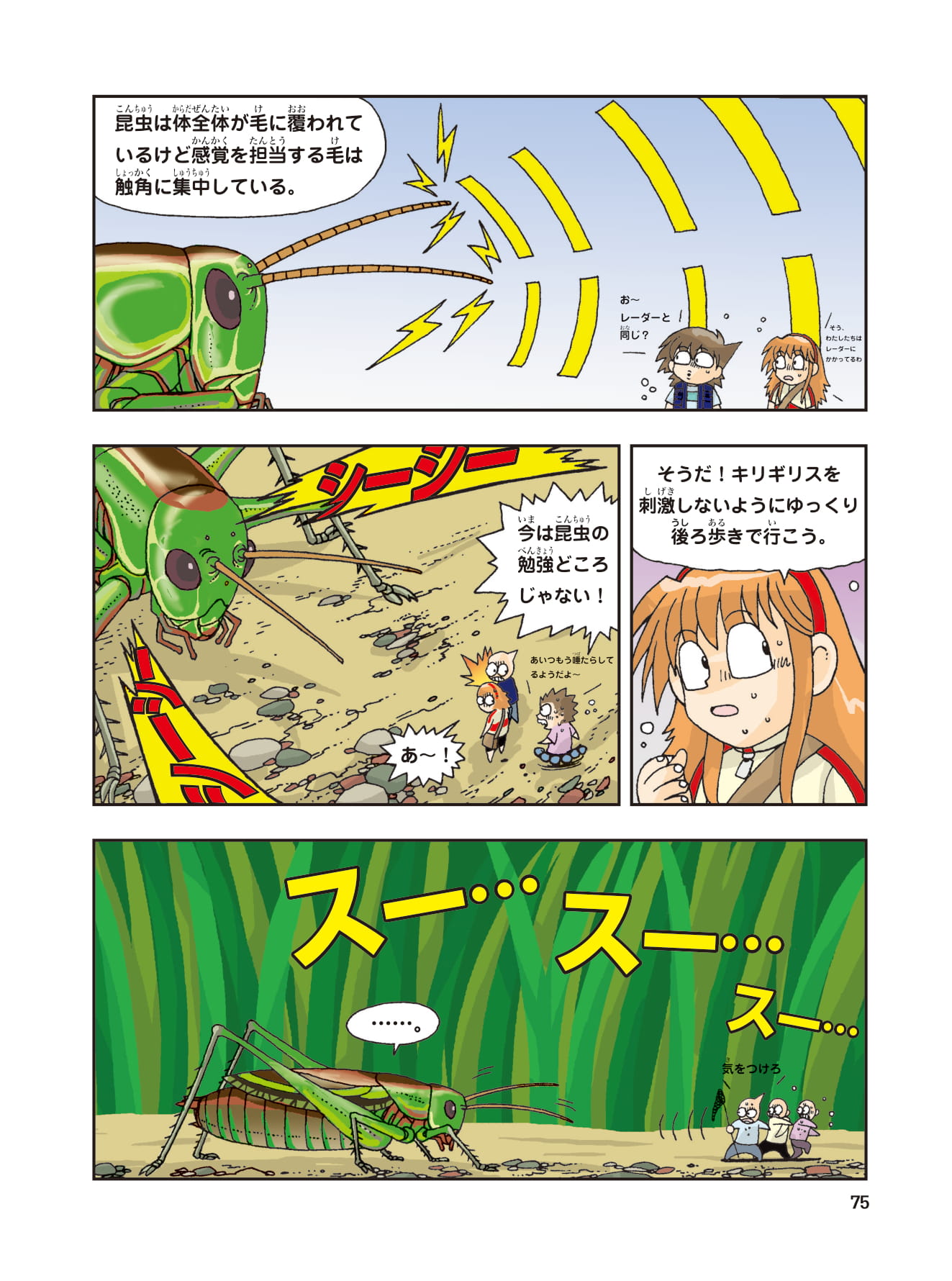 科学漫画サバイバル 公式 今日は 虫の日 今まで知られている昆虫の種類は100万種類以上 地球の生物の４分の３を占めているよ しかもまだ発見されていない昆虫も数多くあって 地球上に住むすべての昆虫の数は1000京に及ぶと推定されているんだ