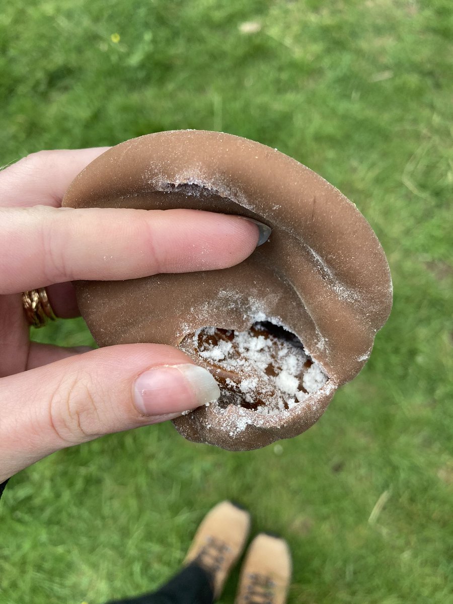 quintsprints's tweet photo. Found this on the Downs, Bristol (UK). Don't know what it is, but I don't like it! Go careful with your puppers!! @ASPolice #safetyfirst #puppies #doggo https://t.co/m1yvZqrqYR