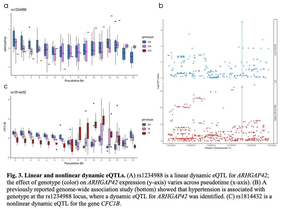 Pradeep Natarajan (@pnatarajanmd) on Twitter photo Cool single cell analysis across multiple time points from iPSCs to cardiomyocytes from <a href="/reem_elo/">Reem Elorbany</a> <a href="/alexisjbattle/">Alexis Battle</a> and team Cool single cell analysis across multiple time points from iPSCs to cardiomyocytes from <a href="/reem_elo/">Reem Elorbany</a> <a href="/alexisjbattle/">Alexis Battle</a> and team