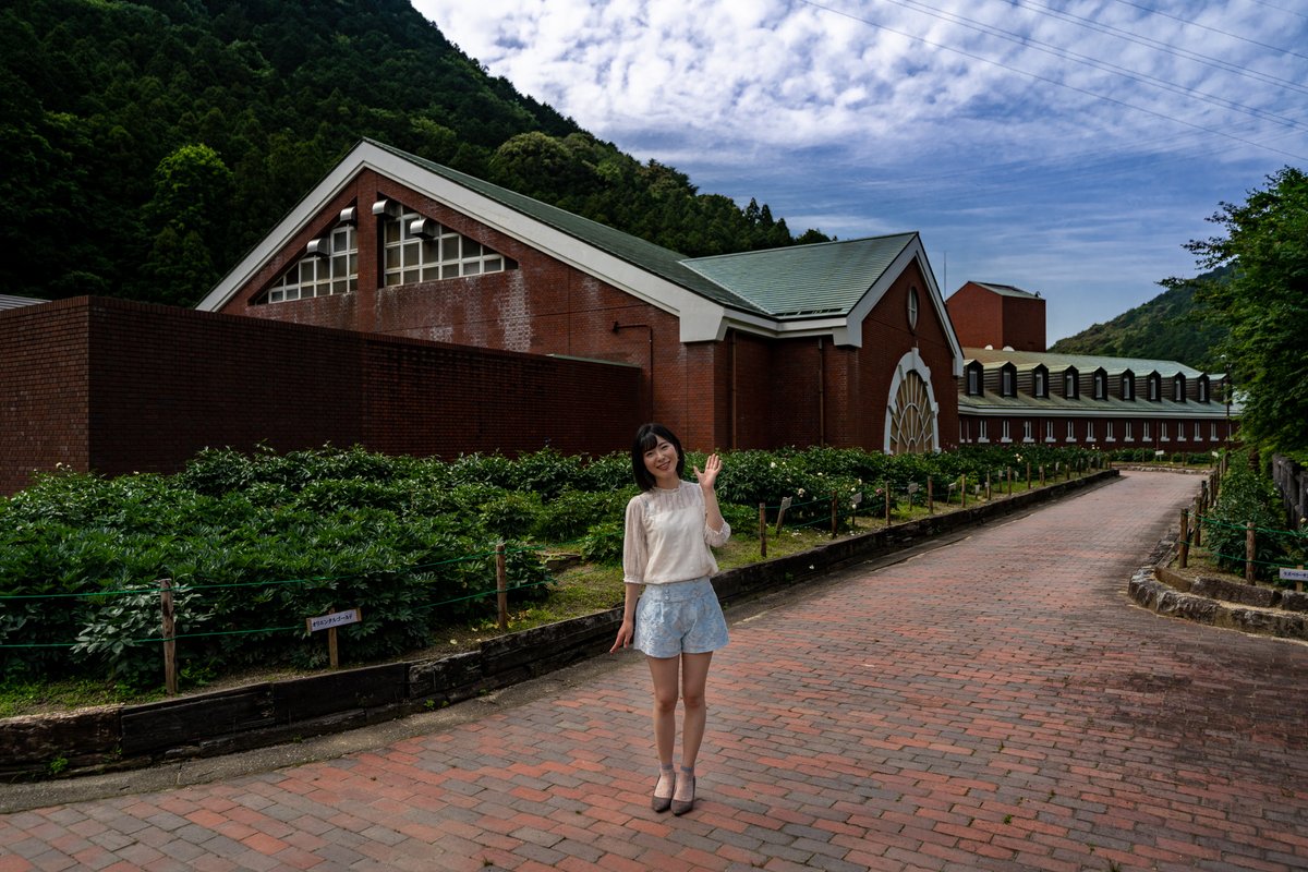 kyumuu's tweet photo. マイントピア別子のシャクヤクの記事を更新しました。
5月下旬でもまだ見頃の品種もありました。

SNSは埋もれますが、ブログは昔に書いた記事でも、その花の時期になればアクセスがあるので、嬉しいですね。

#マイントピア別子
#愛媛ポートレートの会
#芍薬

https://t.co/oFqsaC1Ogf https://t.co/VUk3gFdGz7