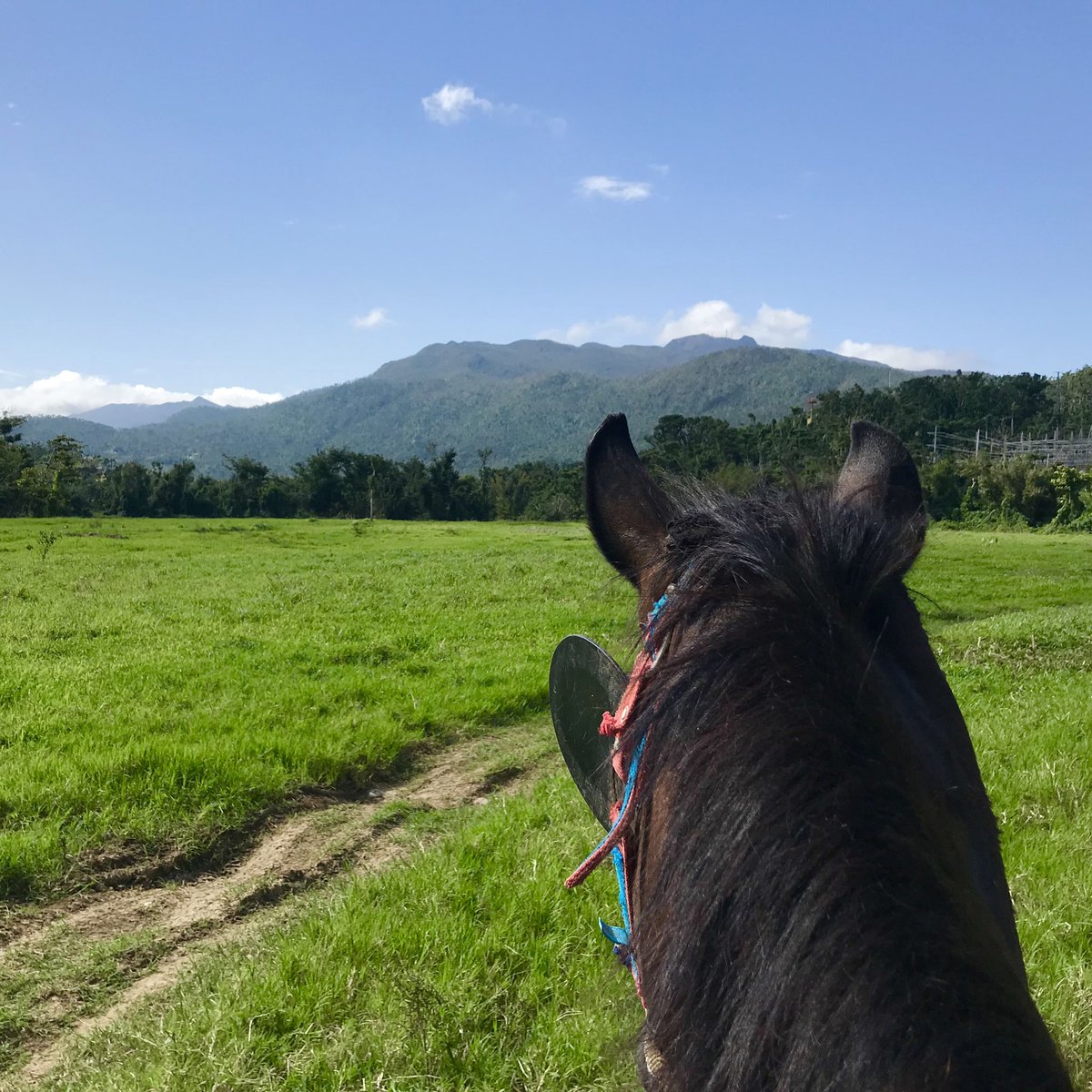 eatlivestay's tweet photo. @suziday123 @CharlesMcCool @Giselleinmotion @Touchse @perthtravelers @TheCavesHotel @MiamiandBeaches @VISITFLORIDA @SeeMonterey @VisitCA @GlacierNPS @glaciermt @FunInFairfax @OneDelightfulL @travelling_mom @AngelaMDiLoreto @TheTravelCamel @LindaPeters64 @HeidiSiefkas @SashaEats @inkscrblr @ShellevenHouse @carpediemeire @RoarLoudTravel @beckyexploring @Kerryloves2trvl Those are some beautiful views @suziday123 especially that one of Motovun 💖 Here are a few from our travels including one of our cat enjoying a sunset view at our apartment in Virginia 😸 #Top4Theme #Top4Lookouts https://t.co/DLrH3Dvxjk