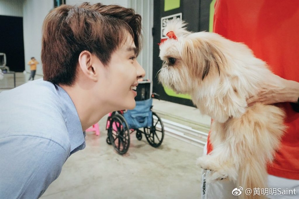smkpsonly's tweet photo. 🐶🐕🎀🖤❤️😀
#PerthSaintSation https://t.co/4texgrT9K7