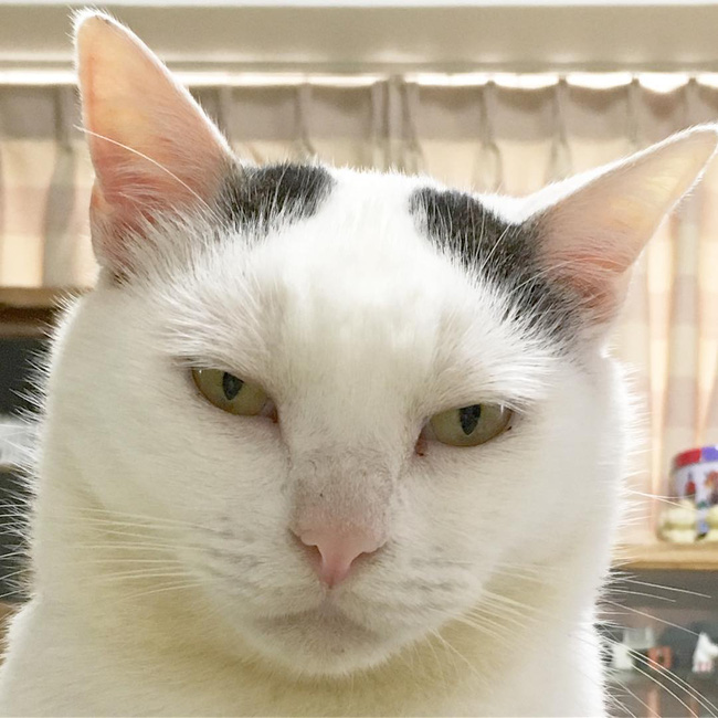 tomebones37's tweet photo. cute https://t.co/ej2d8tXjWh
