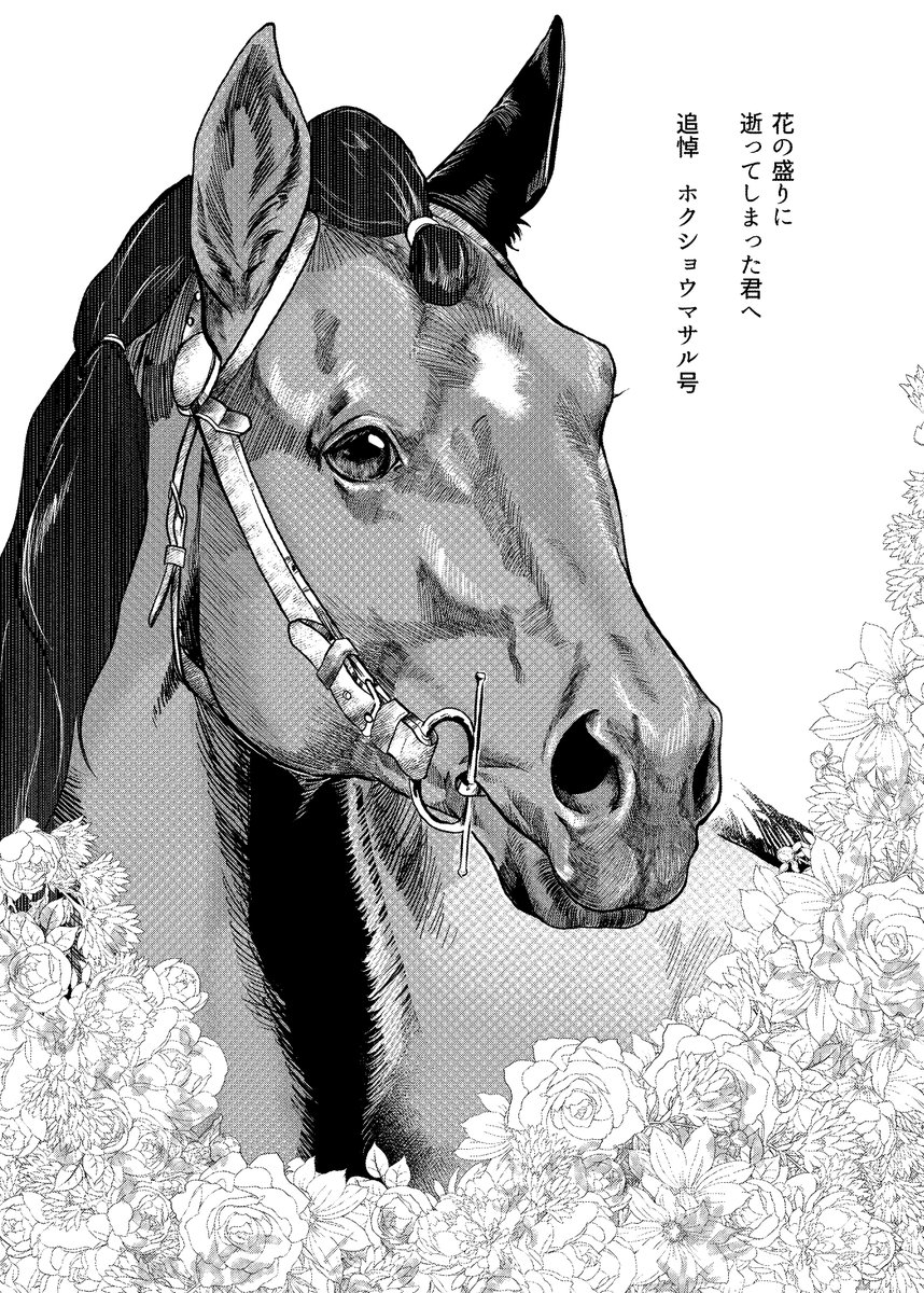 レース後の凛とした表情も好きでした
ホクショウマサル 安らかに
#ばんえい競馬 