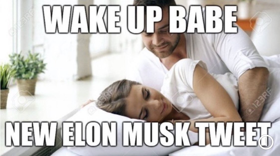 itsALLrisky's tweet photo. @elonmusk https://t.co/YuubYJCJEX