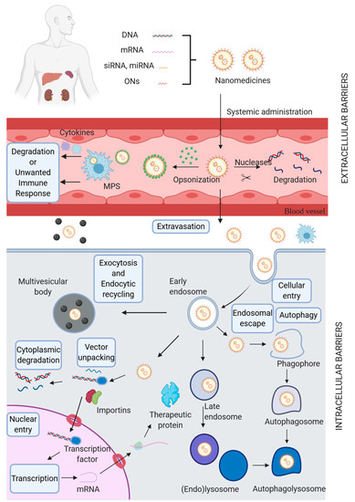 Pharmaceutics (@mdpipharma) on Twitter photo #MDPIPharmaceutics📗
"Delivery Systems for Nucleic Acids and Proteins: Barriers, Cell Capture Pathways and Nanocarriers" by Julian D. Torres-Vanegas et al.
Full paper at mdpi.com/1999-4923/13/3… #MDPIPharmaceutics📗
"Delivery Systems for Nucleic Acids and Proteins: Barriers, Cell Capture Pathways and Nanocarriers" by Julian D. Torres-Vanegas et al.
Full paper at mdpi.com/1999-4923/13/3…