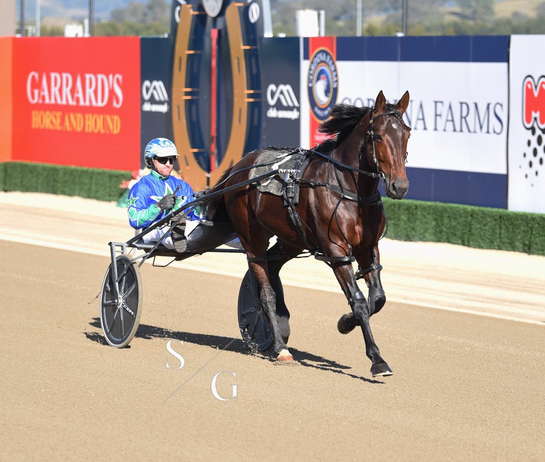 photographybysg's tweet photo. Headed into Menangle on Wednesday to watch King Of Swing return to the track since winning his second Miracle Mile! 👑

A few other horses featured on my Facebook including Bettor Enforce &amp; Bright Energy! https://t.co/0THDtgSUQO