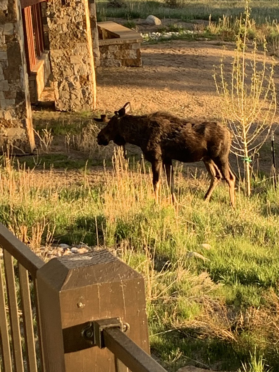 Andy Martin tweet media