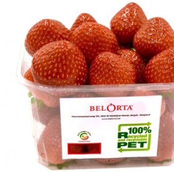 lambrecht_jo's tweet photo. BelOrta führt Tray2Tray-Schalen aus recycelten Rohmaterialien (und zu 100% recycelbar) ein

https://t.co/7OlRmM5pmv https://t.co/Y3T3bTEGWX