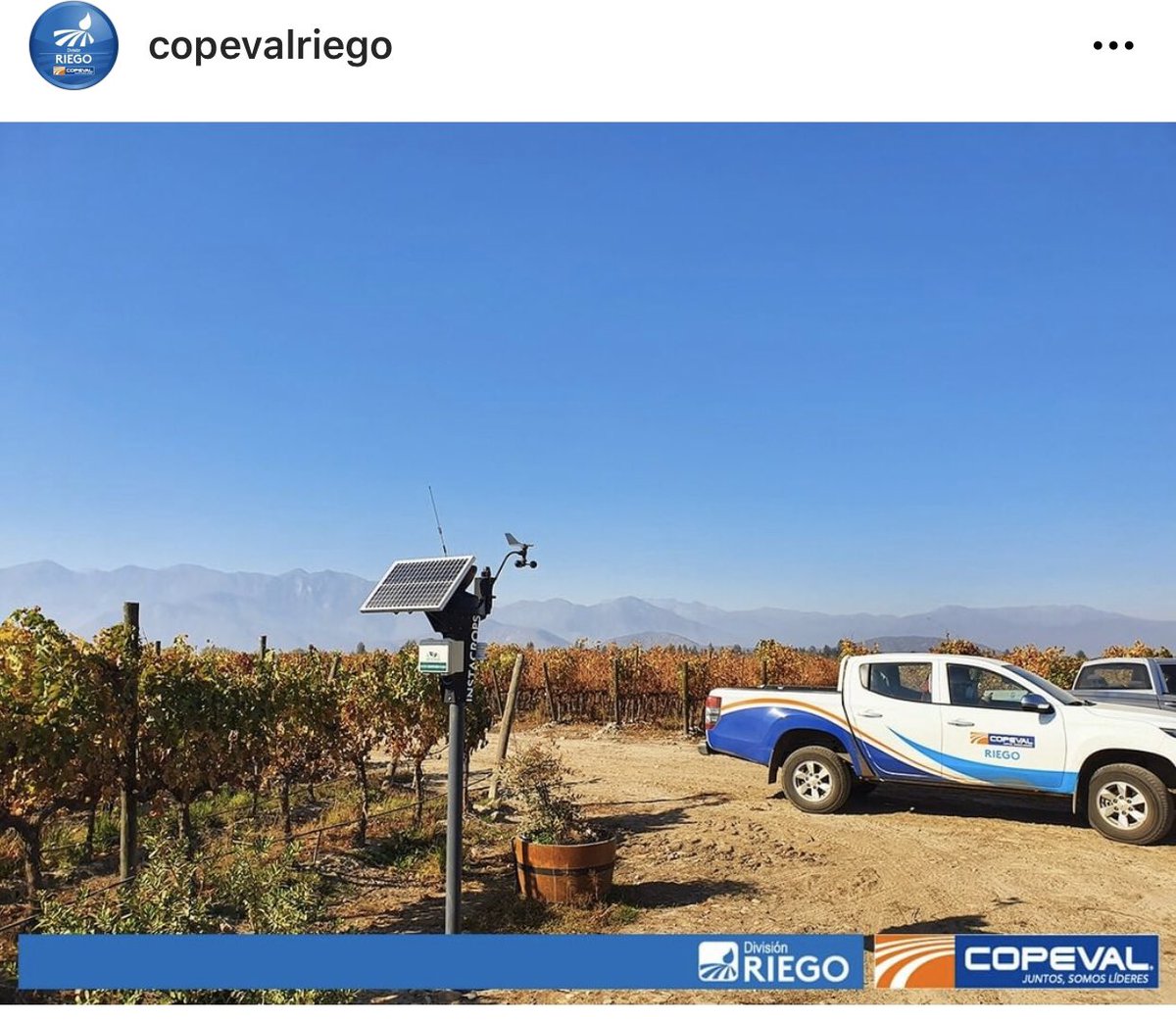 instacrops's tweet photo. Encuéntranos también en sucursales de #Copeval desde la V a la X regiones en Chile 👩🏼‍🌾🍃👨🏻‍💻 
#spreadingtheseed #internetofplants https://t.co/32A24DNExX