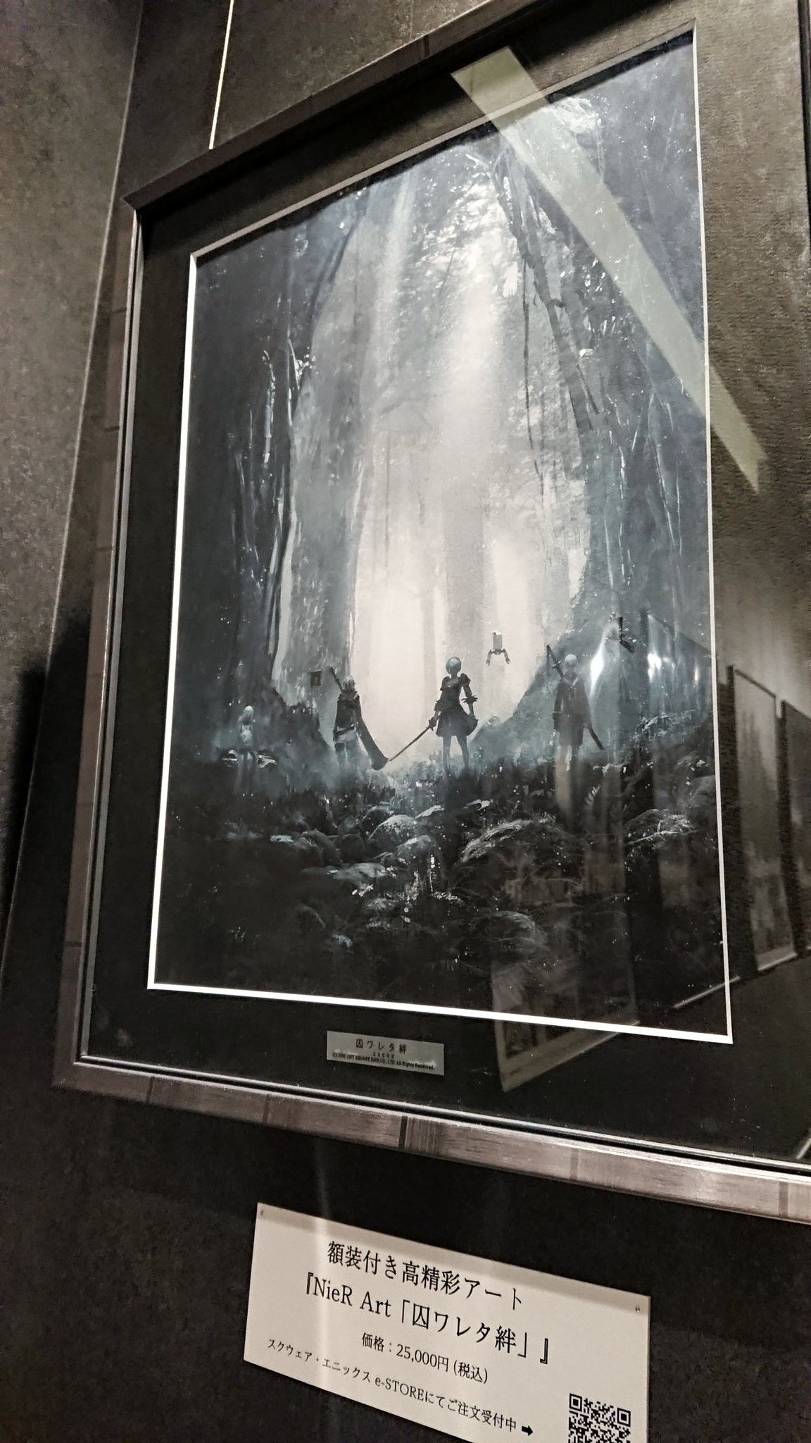 正規通販 Amazon.co.jp: 額装付き 高精彩アート NieR Art 囚