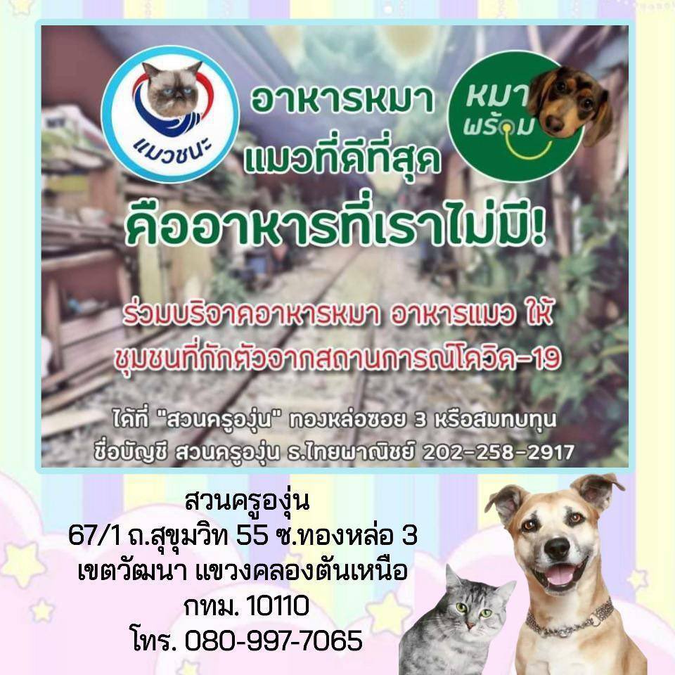 Me_KEDs13's tweet photo. ตี๋มายด์ จิณณะ และ Always support #mildjinna ร่วมบริจาคอาหารหมาแมว🐶🐱 ให้ชุมชนที่กักตัวจากสถานการณ์โควิด-19 ที่สวนครูองุ่น มูลนิธิกระจกเงา��

ขอขอบคุณโครงการดีๆจาก @Mirror_org 

❤ @Teemild_  มีความยินดีแบ่งปัน และขอให้ทุกครอบครัวผ่านพ้นวิกฤตินี้ไปด้วยกัน

#ปันรักปันน้ำใจจากมายด์ https://t.co/z193NfYxbG