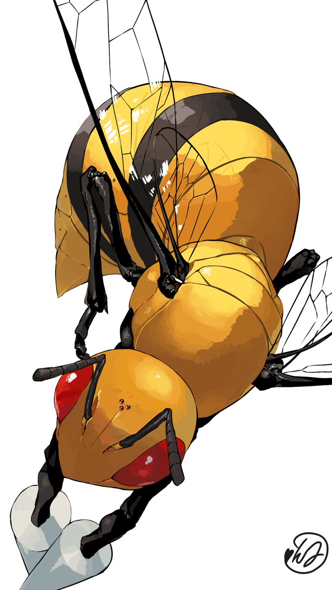 no humans pokemon (creature) bug white background simple background solo full body  illustration images