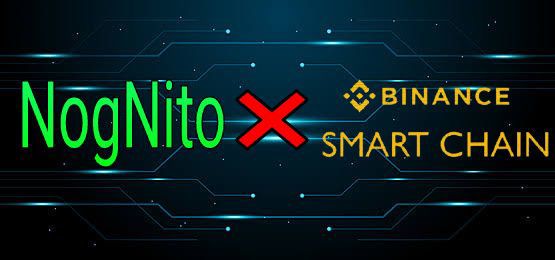 NogNito is a BNB Smart Chain token that is very active in our community and strives to develop trust by being transparent in our mission and goals.

We are focused on continually making successful efforts for all of our community as well as the world by giving back.