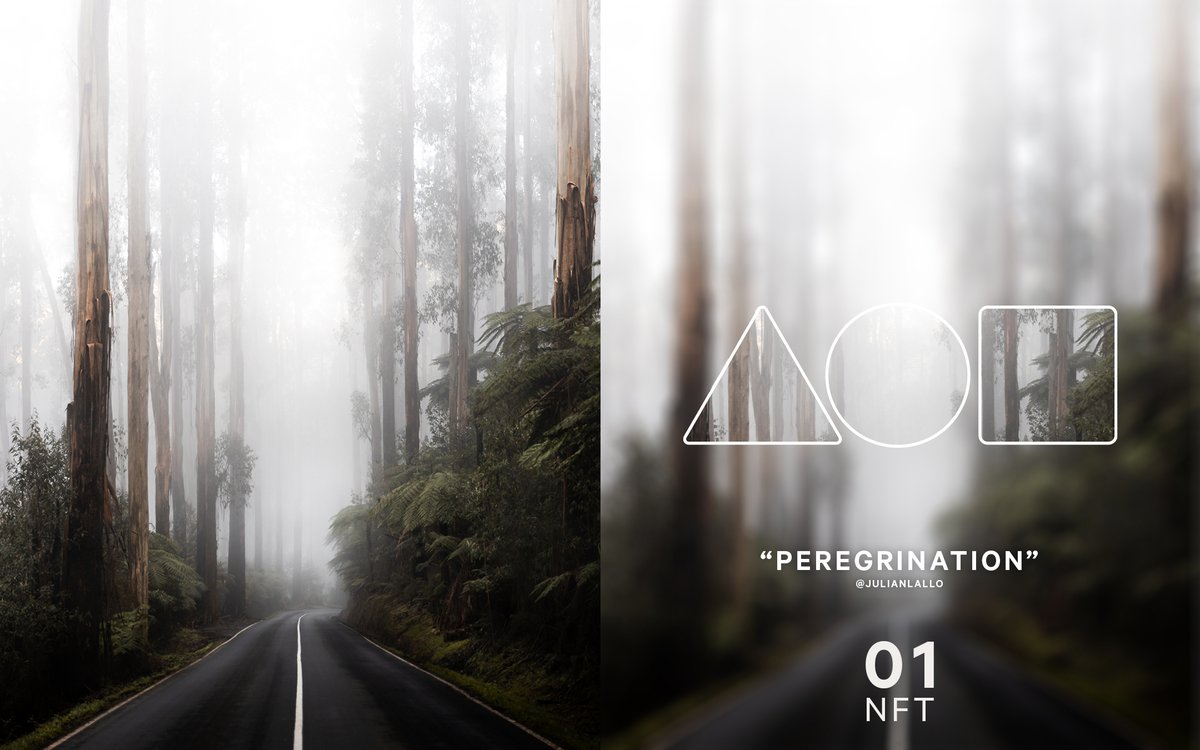 JulianLallo's tweet photo. Hey Guys 👋🏼 I'm very excited to have minted my very first #NFT, "Peregrination" on @withFND 

This image was captured on a perfect winter's morning in my favourite place - the Black Spur, Australia.

https://t.co/d6UKxkR23p

#NFTcommunity #NFTart https://t.co/2BPfuujiFK