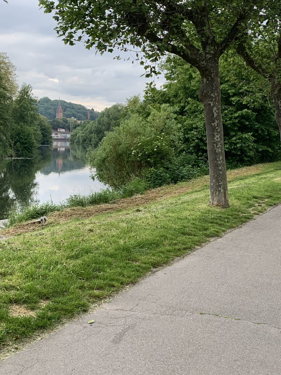 derkrueck's tweet photo. Back on track 🏃🏼 &amp; Twitter https://t.co/gawxPgOw3Z