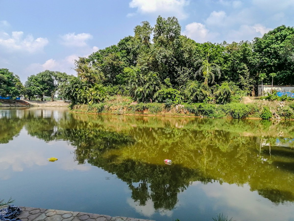 ImoShariar's tweet photo. #mobilephotography #photooftheday #silence #niceweather #goodmorning #goodmood #happiness #nature #sunset #sun #grass #pic #pics #picsart #sky #photoshop #white #frame #bluesky #silence #beautiful #cloud #clouds #bluesky #blue #green #tree https://t.co/kXjy0uewPo