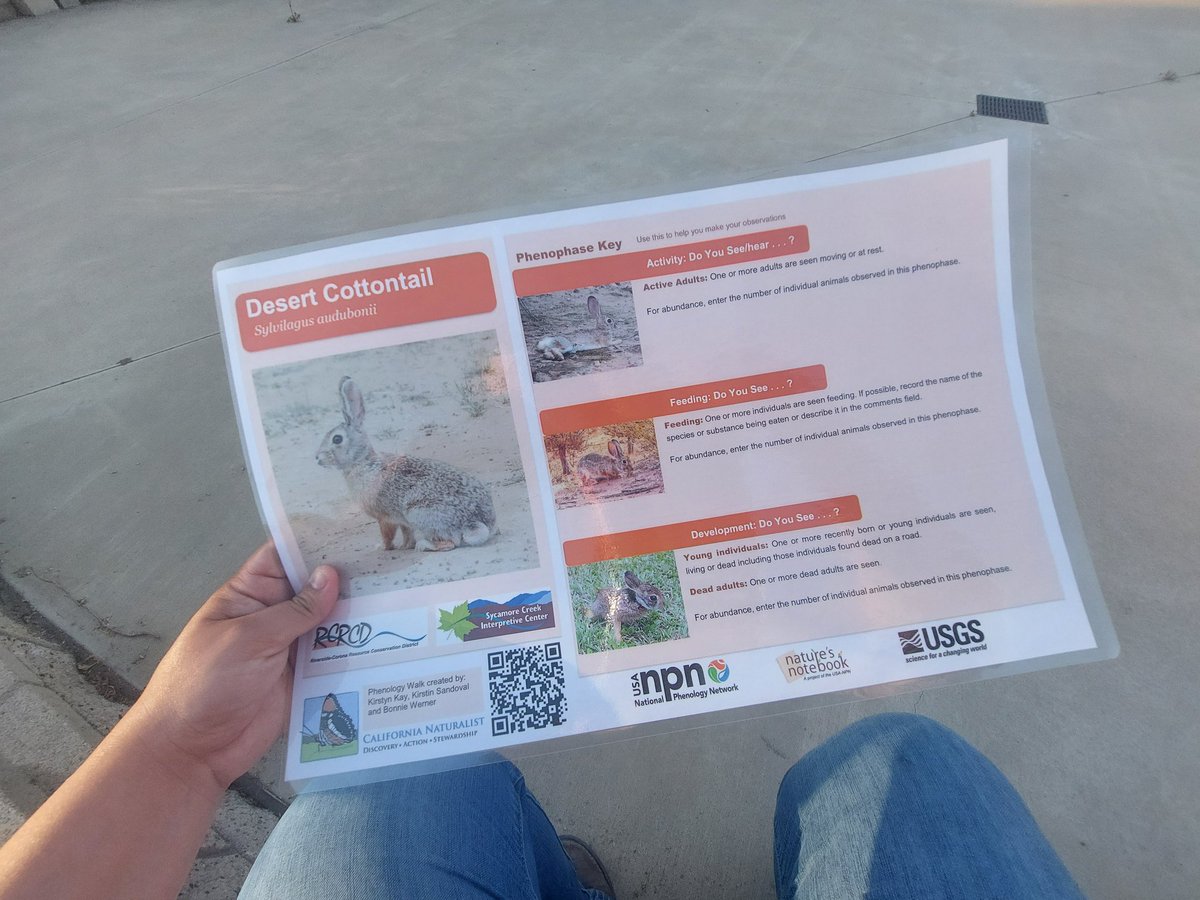 Sonia Rios tweet media