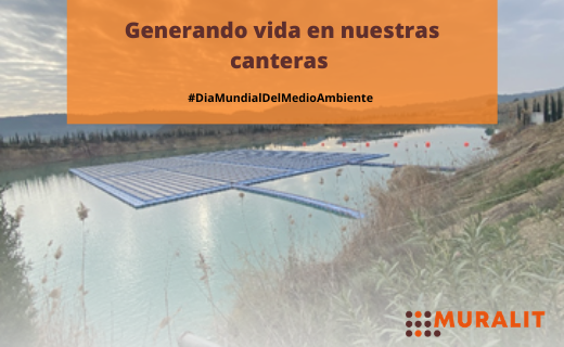 MURALIT_'s tweet photo. Mañana es el #DíaMundialDelMedioAmbiente que este año pone en valor la restauración de #ecosistemas. Te contamos 3 proyectos desarrollados por los socios de @Muralit para generar vida en nuestras canteras 👉https://t.co/x4345pAeNO https://t.co/Cv4Xph2kFW