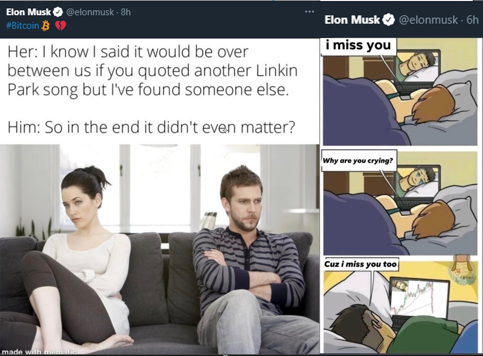 I have to say that Elon's recent behavior is absolutely disgusting. Not only twitting something he know will dump BTC, but then twitting a meme laughing at everyone in crypto community. Fuck you Elon!
