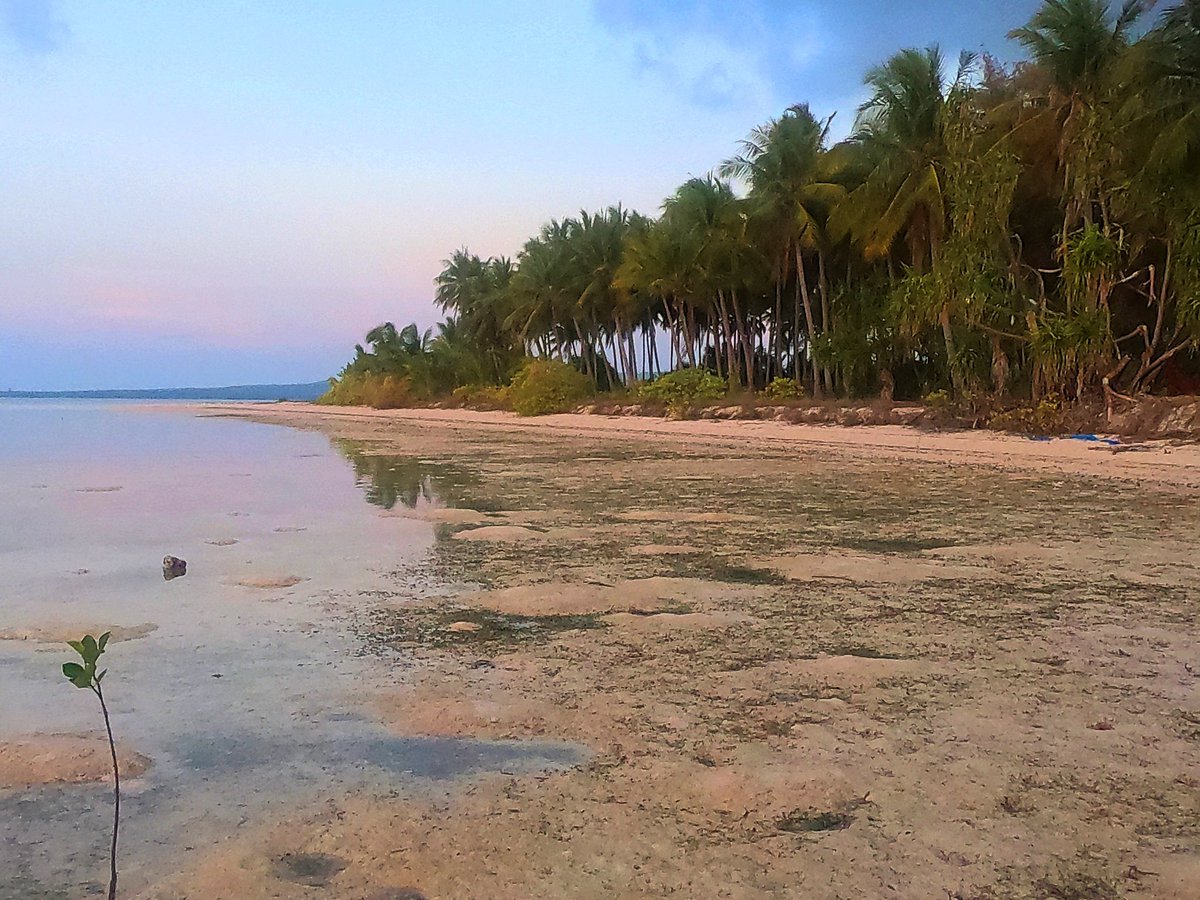 tropicamping's tweet photo. https://t.co/hoEUzGMW55
