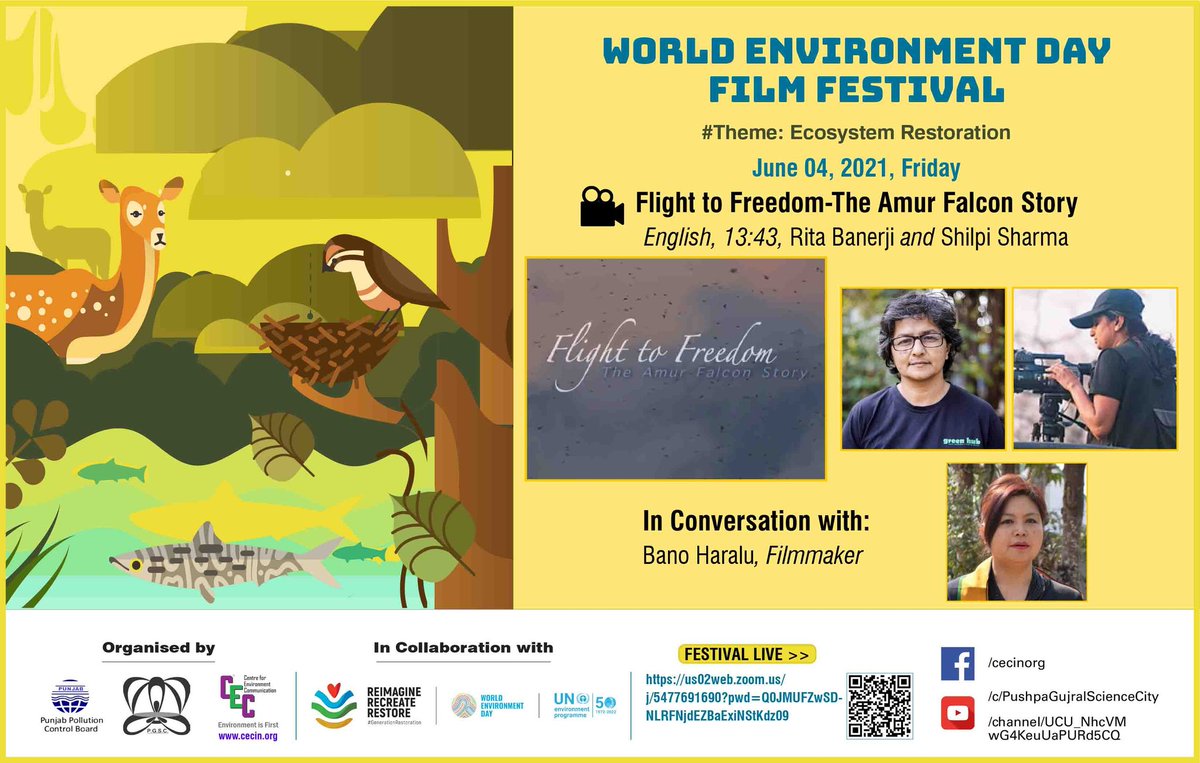 IND_CEC's tweet photo. WORLD ENVIRONMENT DAY FILM FESTIVAL 2021 is streaming Flight to Freedom: The Amur Falcon Story by Rita Banerji and Shilpi Sharma. Award winning journalist Bano Haralu to join us soon.
Watch live: https://t.co/okcKdl7VtN https://t.co/i3MB1iViQ5
