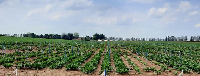 Journeesagriculture tweet media