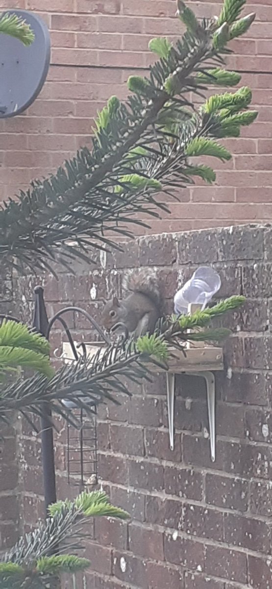 Love our little friend.